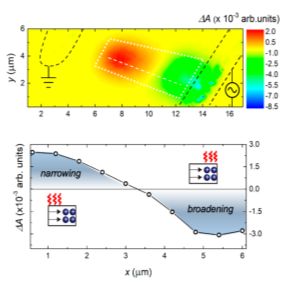 fig2